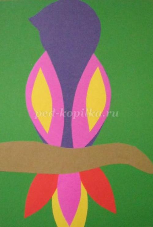 Поделка попугай своими руками. Игрушки для попугаев своими руками 60 Поделка попугай своими руками. Игрушки для попугаев своими руками 60