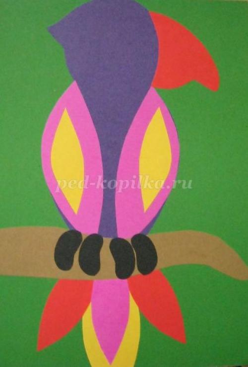 Поделка попугай своими руками. Игрушки для попугаев своими руками 62 Поделка попугай своими руками. Игрушки для попугаев своими руками 62