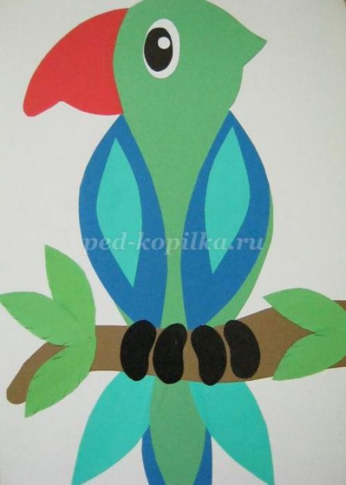 Поделка попугай своими руками. Игрушки для попугаев своими руками 65 Поделка попугай своими руками. Игрушки для попугаев своими руками 65
