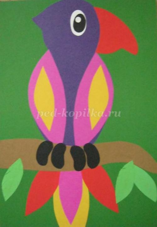 Поделка попугай своими руками. Игрушки для попугаев своими руками 53 Поделка попугай своими руками. Игрушки для попугаев своими руками 53