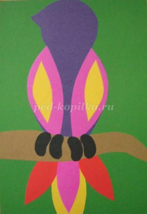 Поделка попугай своими руками. Игрушки для попугаев своими руками 61 Поделка попугай своими руками. Игрушки для попугаев своими руками 61