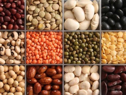 Полноценный белок в растительной пище. Список белковых продуктов растительного происхождения