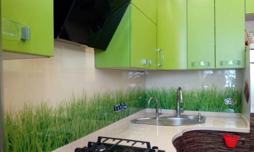Обои для кухни зеленые. Где рекомендовано использовать цвет