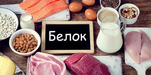 Продукты богатые белком. Откуда брать белок: мой список продуктов, богатых белков