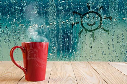 Запотевают деревянные окна в квартире. Почему деревянные окна в частном доме потеют изнутри?