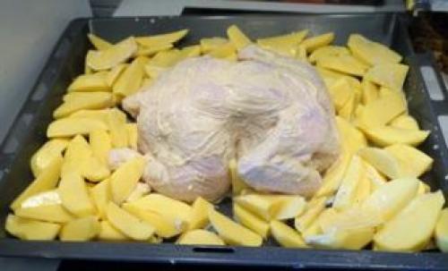 Курица с хрустящей корочкой в духовке с картошкой. Курица с картофелем в духовке просто и со вкусом