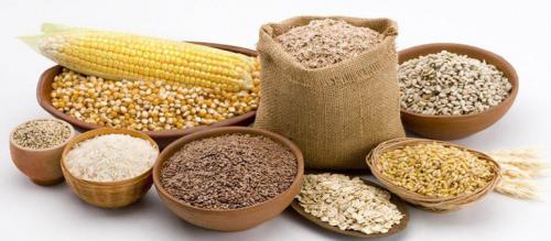 Полноценный белок в растительной пище. Список белковых продуктов растительного происхождения