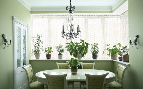 Обои для кухни зеленые. Где рекомендовано использовать цвет