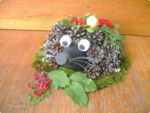 Как сделать ежа из пластиковой бутылки. Ежик из шишек и пластиковой бутылки 04