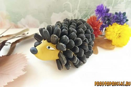 Ежик из бутылки и семечек. Ежик из пластилина и семечек