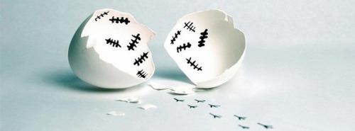 Чем можно в выпечке заменить яйцо. Продукты, которые заменяют яйца 12