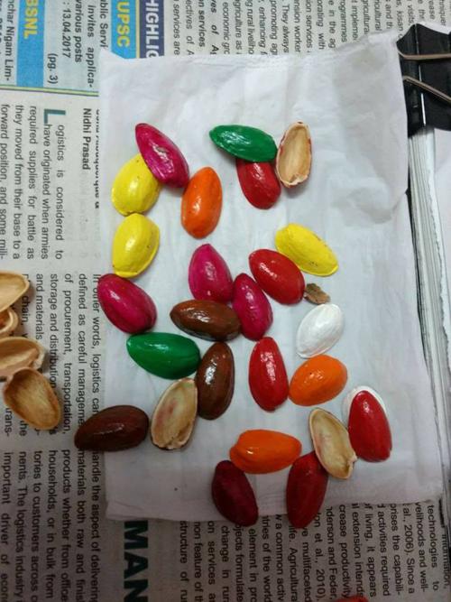 Что можно сделать из скорлупы фисташек. Поделки из фисташек – 7 простых идей 07