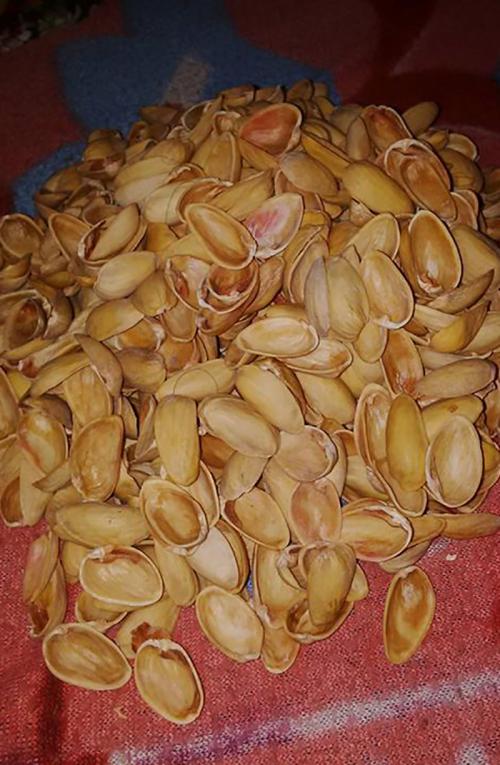 Что можно сделать из скорлупы фисташек. Поделки из фисташек – 7 простых идей 04