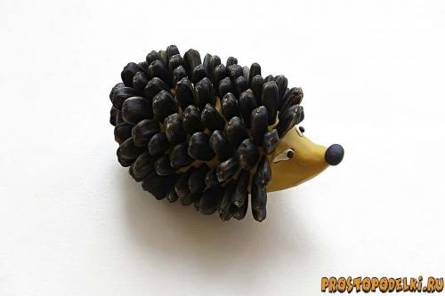 Ежик из бутылки и семечек. Ежик из пластилина и семечек