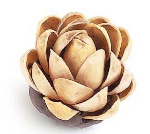 Что можно сделать из скорлупы фисташек. Поделки из фисташек – 7 простых идей 15