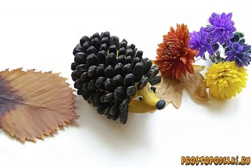 Ежик из бутылки и семечек. Ежик из пластилина и семечек