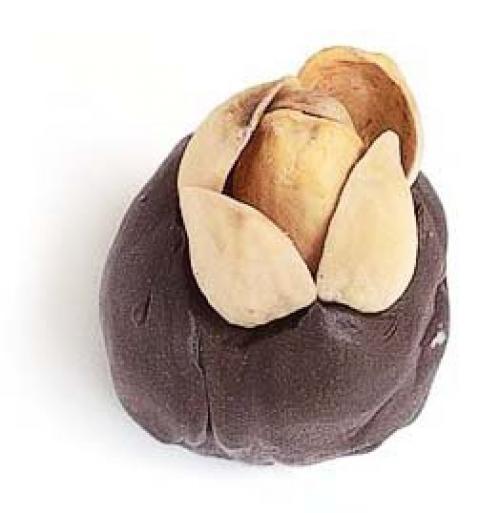 Что можно сделать из скорлупы фисташек. Поделки из фисташек – 7 простых идей 14