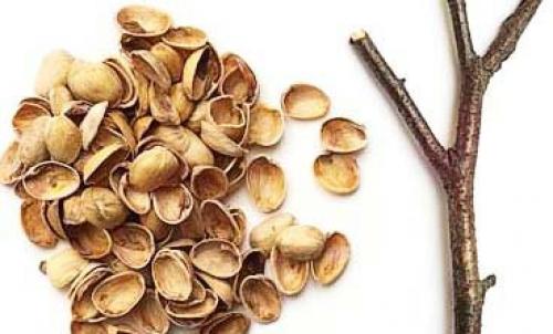 Что можно сделать из скорлупы фисташек. Поделки из фисташек – 7 простых идей 12