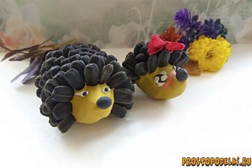 Ежик из бутылки и семечек. Ежик из пластилина и семечек