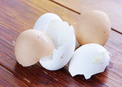 Как использовать скорлупу от фисташек. Скорлупа от фисташек применение в огороде