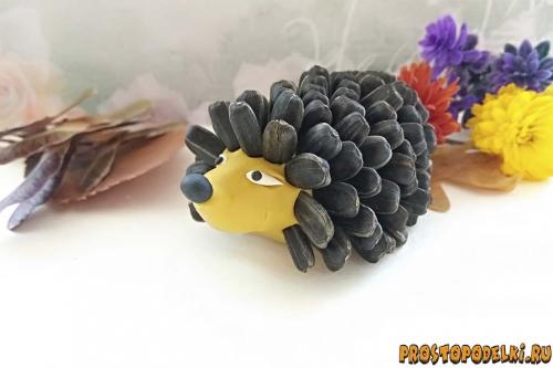 Ежик из бутылки и семечек. Ежик из пластилина и семечек