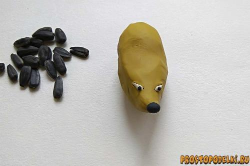 Ежик из бутылки и семечек. Ежик из пластилина и семечек