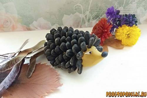 Ежик из бутылки и семечек. Ежик из пластилина и семечек