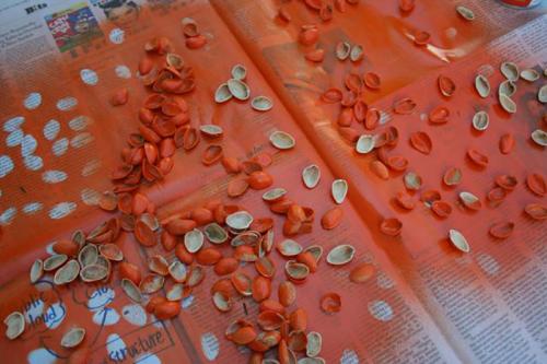 Что можно сделать из скорлупы фисташек. Поделки из фисташек – 7 простых идей 06