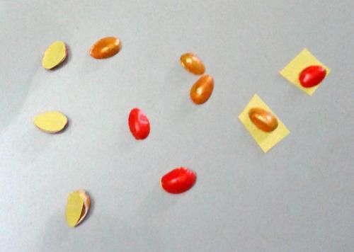 Что можно сделать из скорлупы фисташек. Поделки из фисташек – 7 простых идей 08