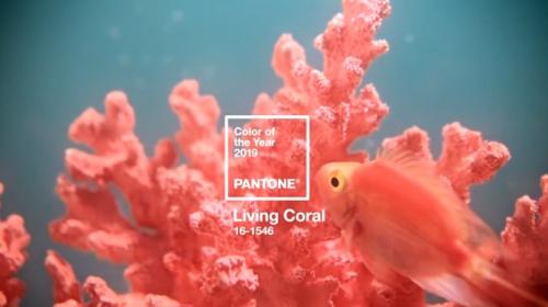 Модные цвета в интерьере 2019 года по версии pantone. Цвет года Пантон 2019 — PANTONE 16-1546 Living Coral — Живой Коралл
