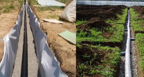 Заросший участок с чего начать. Подскажите, с чего начинать расчищать заброшенный участок? 02 Заросший участок с чего начать. Подскажите, с чего начинать расчищать заброшенный участок? 02