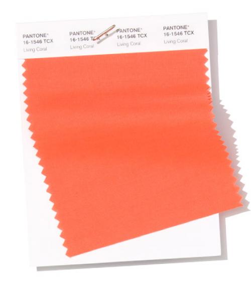 Модные цвета в интерьере 2019 года по версии pantone. Цвет года Пантон 2019 — PANTONE 16-1546 Living Coral — Живой Коралл