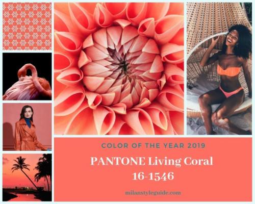 Модные цвета в интерьере 2019 года по версии pantone. Цвет года Пантон 2019 — PANTONE 16-1546 Living Coral — Живой Коралл
