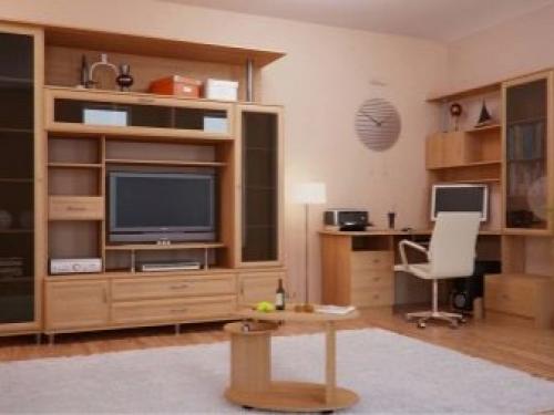 Рабочая зона в гостиной. Меблировка 36 Рабочая зона в гостиной. Меблировка 36