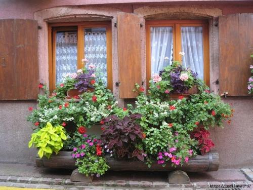 Что делать, чтобы не потели окна. Способы борьбы с запотевающими окнами