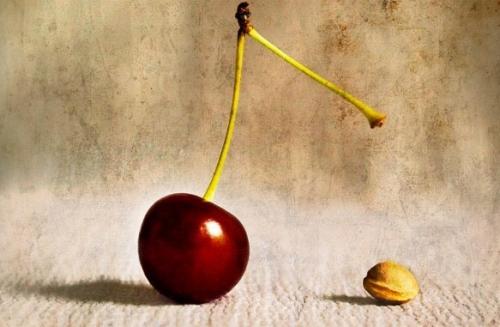 Какие косточки нельзя есть. Ядовитые косточки фруктов