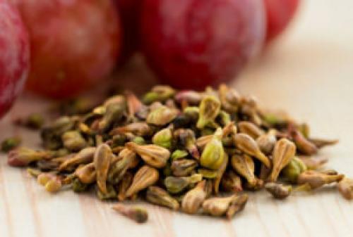 Можно ли есть косточки винограда. Полезные свойства виноградных косточек, Можно ли их есть, противопоказания