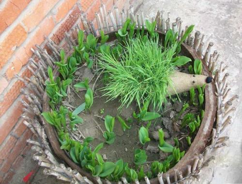 Ежик из бутылки пошагово. Забавный ежик из пластиковой бутылки