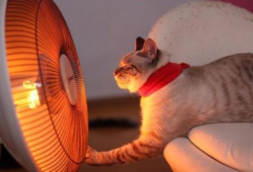 Как обогреть квартиру в межсезонье. Обогрев помещения в межсезонье. 4 способа не замерзнуть