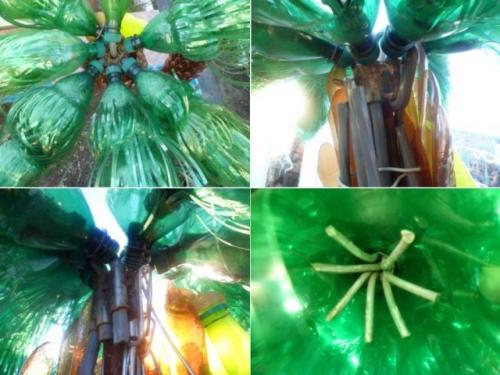 Как сделать пальму из пластмассовых бутылок. Как сделать пальму из пластиковых бутылок 11 Как сделать пальму из пластмассовых бутылок. Как сделать пальму из пластиковых бутылок 11