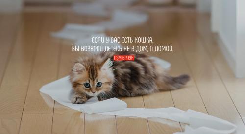 Уют в доме цитаты. Цитаты про дом