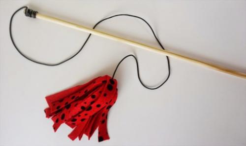 Игрушки для кошек своими руками из подручных материалов. Простые идеи отличных игрушек для котов, созданных из подручных материалов