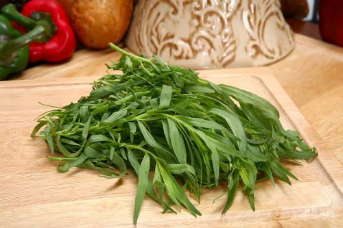 Пряные травы. Топ-10 ароматных пряных трав, которые можно вырастить на участке