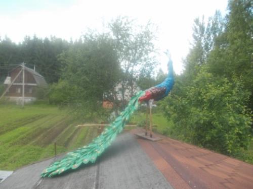 Как сделать туловище павлина. Видео-уроки