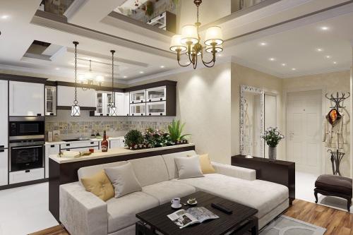 Студия зал с кухней в своем доме. Интерьер кухни-гостиной 20 кв.м