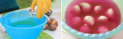 Тюльпаны на подоконнике. Волшебная клумба на подоконнике: как посадить и вырастить тюльпаны в домашних условиях