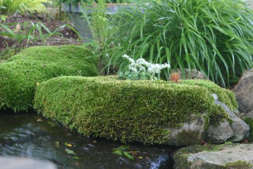 Тенденции в ландшафтном дизайне в 2019. Тренды в ландшафтном дизайне в 2019 году 28