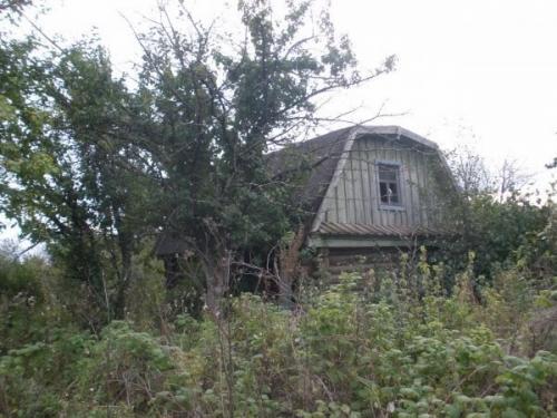 Пермакультура на садовом участке для начинающих хольцер. Заброшенный участок - трагедия или находка?