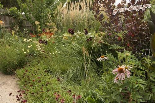 Последние тенденции в ландшафтном дизайне. Новые тенденции в ландшафтном дизайне сада с фото.