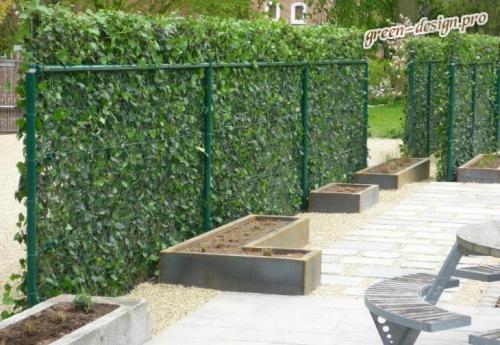 Последние тенденции в ландшафтном дизайне. Новые тенденции в ландшафтном дизайне сада с фото.